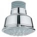 Relexa Rustic Regadera de Cebolleta GROHE